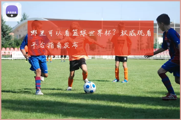 哪里可以看篮球世界杯？权威观看平台指南发布