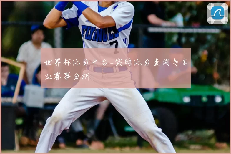 世界杯比分平台_实时比分查询与专业赛事分析