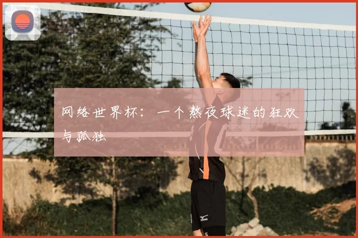 网络世界杯:一个熬夜球迷的狂欢与孤独