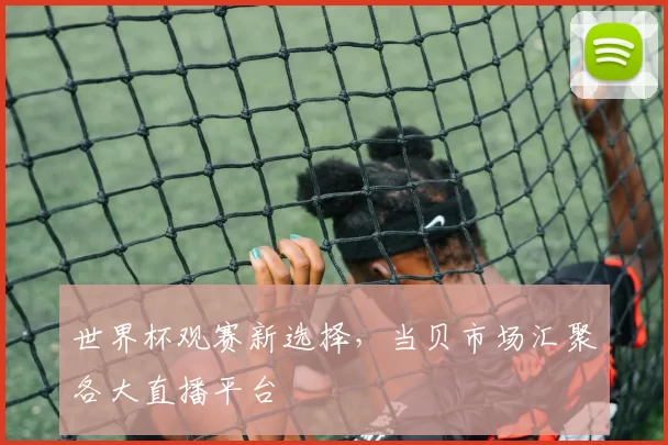 世界杯观赛新选择，当贝市场汇聚各大直播平台