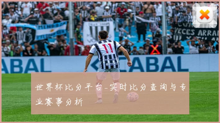 世界杯比分平台_实时比分查询与专业赛事分析