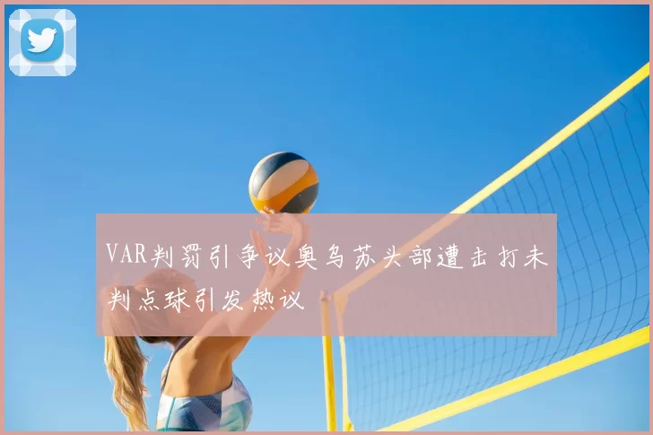 VAR判罚引争议奥乌苏头部遭击打未判点球引发热议