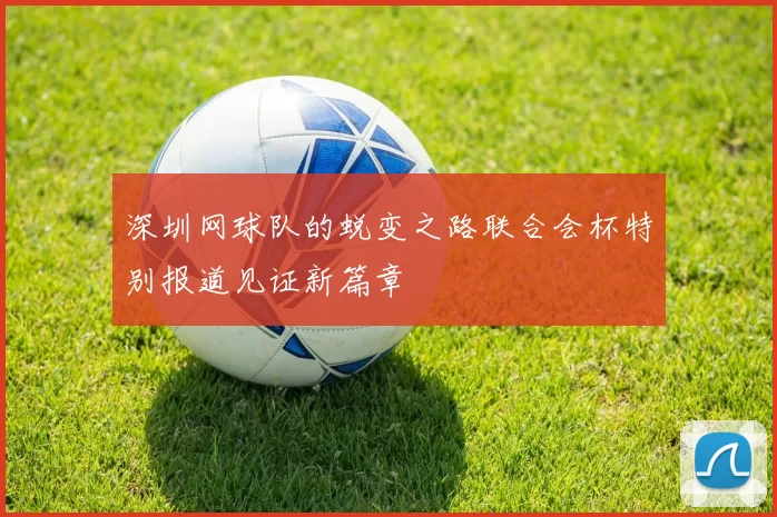 深圳网球队的蜕变之路联合会杯特别报道见证新篇章