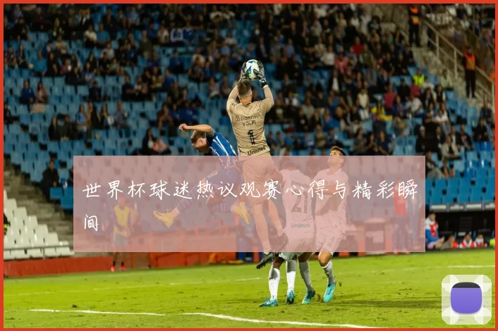 世界杯球迷热议观赛心得与精彩瞬间