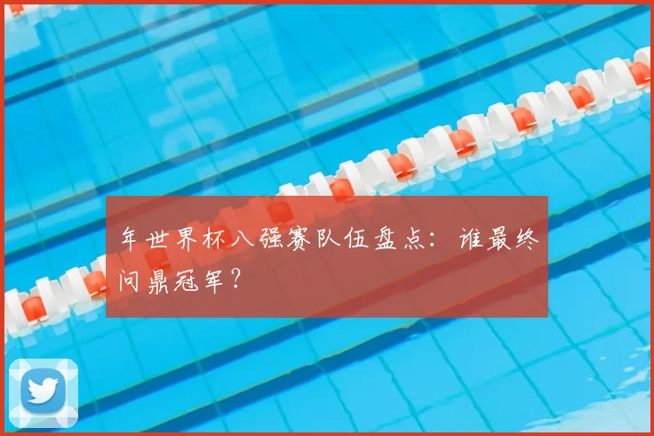 年世界杯八强赛队伍盘点：谁最终问鼎冠军？