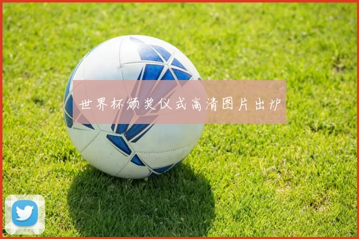世界杯颁奖仪式高清图片出炉