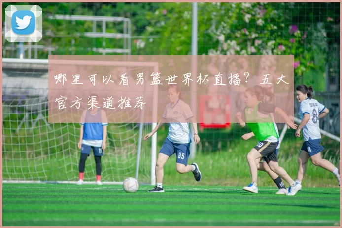 哪里可以看男篮世界杯直播?五大官方渠道推荐