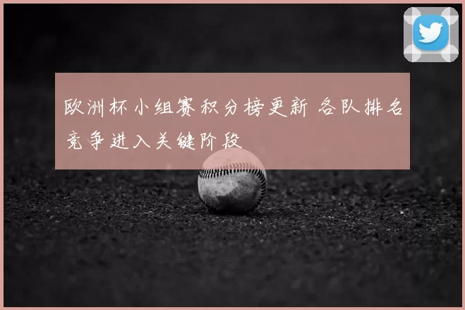 欧洲杯小组赛积分榜更新 各队排名竞争进入关键阶段