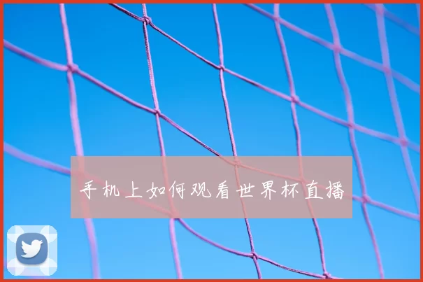 手机上如何观看世界杯直播